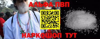 СК Новодвинск
