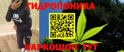 прущие крисы Нальчик